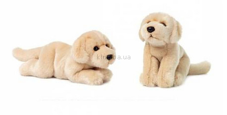 Детская игрушка Anna Club Plush Ретривер золотой (20 см)
