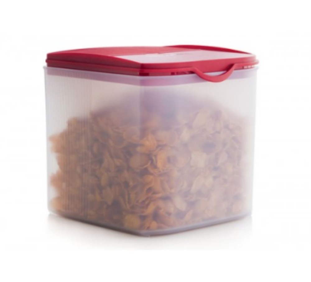 Контейнер 4л. Компактус новинка 3.4 л Tupperware. Контейнер Компактус Tupperware. Компактус 2,3. Компактус новинка Tupperware.